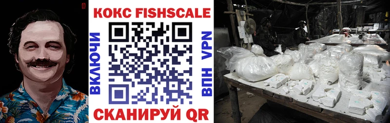 КОКАИН FishScale  Купить закладки  Новая Ладога 