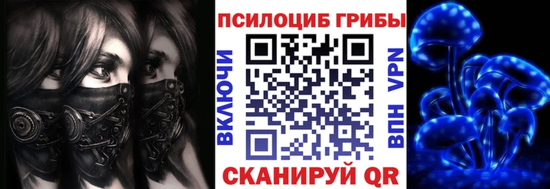 Псилоцибиновые грибы мицелий  Купить закладки  Новая Ладога 